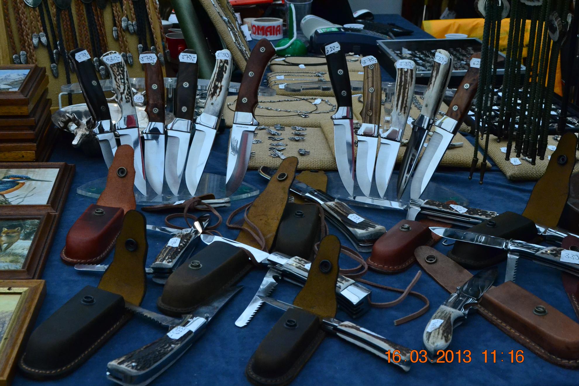 Expo-Aventuri 2013 - dsc2596.JPG